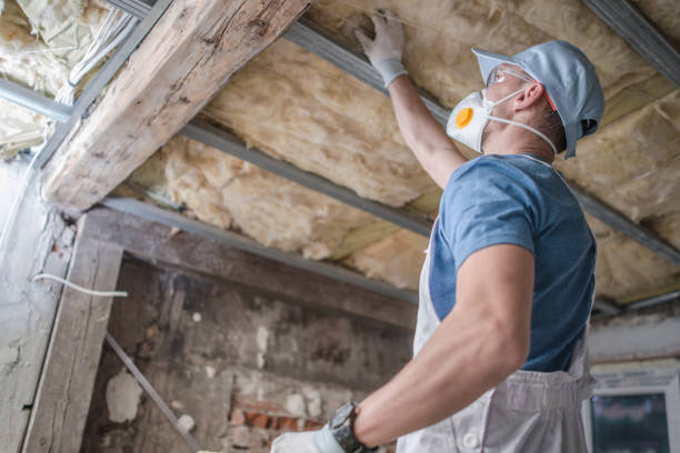 Best Specialized Insulation Services in Grayling, MI