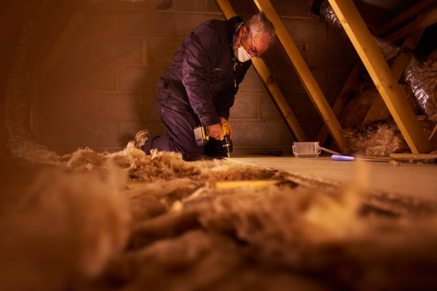 Best Eco-Friendly Insulation in Grayling, MI